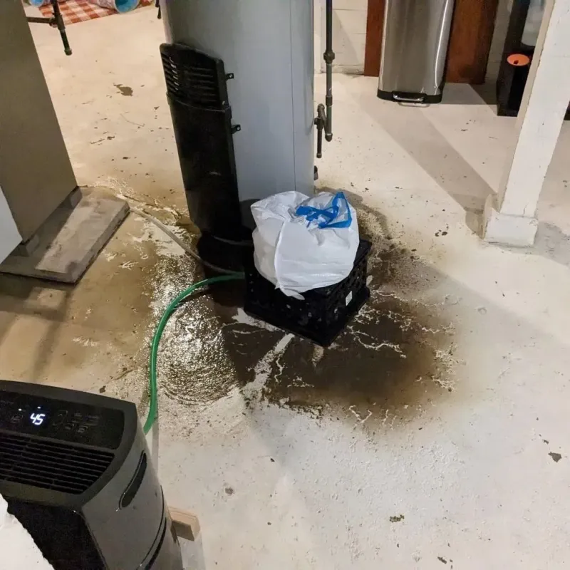 Sewage Backup Cleanup Service in Benton, AR